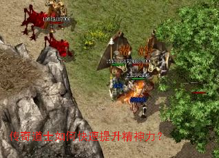 �����ʿ��ο���������������