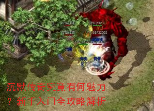 ��Ĭ���澿���к���������������ȫ���Խ���