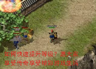 ��ο��������ȼ���Ը������ܴ������ܾ�����Ϸ����