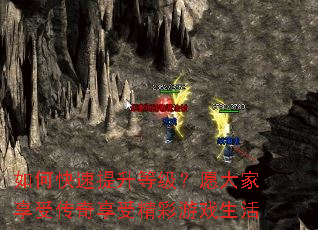 ��ο��������ȼ���Ը������ܴ������ܾ�����Ϸ����