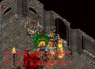 սʿ��ħ��ֵ������ʲô�ã�����ҽ���ʵ�ü���