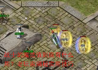 սʿ��ħ��ֵ������ʲô�ã�����ҽ���ʵ�ü���