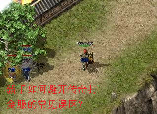 ������αܿ���������ĳ���������