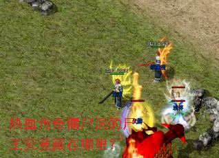 ��Ѫ���潩ʬ����ʬ�������������