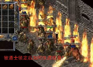 ����ʿ��������ο���������