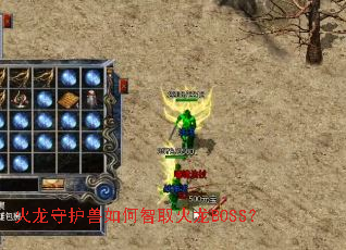 �����ػ��������ȡ����BOSS��