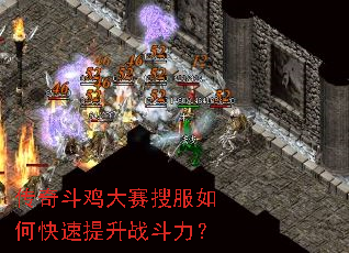 ���涷�������ѷ���ο�������ս������