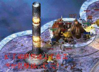 ������ο������ֺϻ�����˽�������淨��