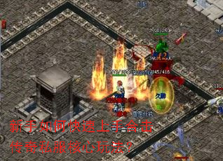 ������ο������ֺϻ�����˽�������淨��