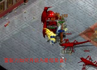 ���ѵ��������Ϊ����װ����