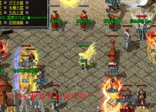 ������ɹ�������������