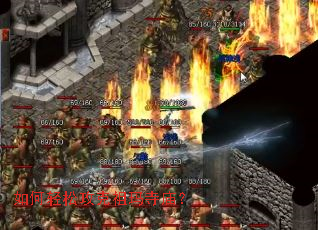 ������ɹ�������������