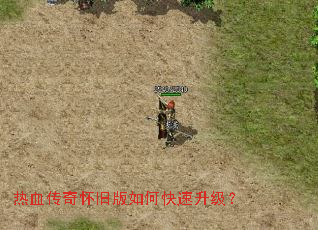 ��Ѫ���滳�ɰ���ο���������