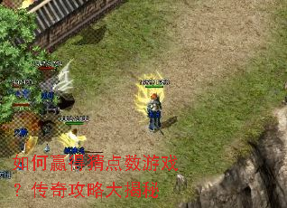 ���Ӯ�òµ�����Ϸ�����湥�Դ����