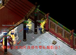 ����������ѡ����˽��ְҵ��