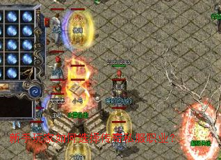 ����������ѡ����˽��ְҵ��