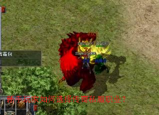 ����������ѡ����˽��ְҵ��