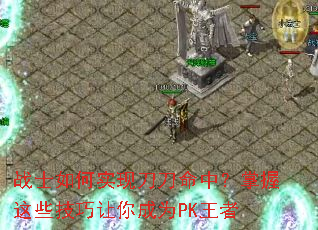 սʿ���ʵ�ֵ������У�������Щ���������ΪPK����