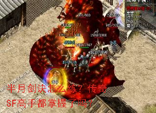 ���½�����ô��������SF���ֶ���������