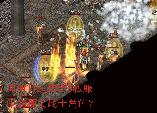 ��δ��촫��3˽���еĶ���սʿ��ɫ��