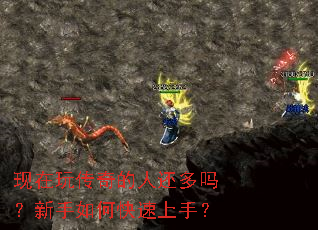 �����洫����˻�����������ο������֣�