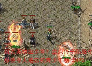 �Թ�Ӣ�۳����ꣿ�̵㴫��˽������Щ�������������������NPC