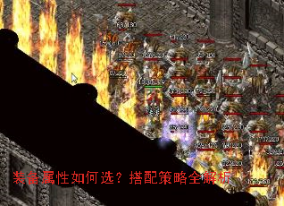 װ���������ѡ���������ȫ����