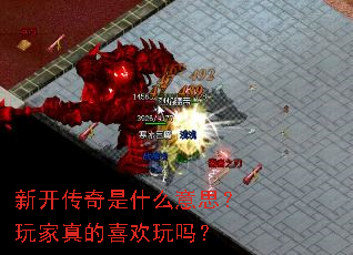 �¿�������ʲô��˼��������ϲ������