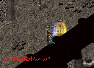 ��ο�������ս������