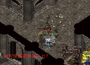 ��ο�������ս������