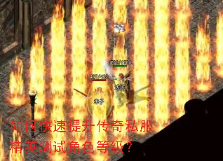 ��ο�����������˽����Ӣ���Խ�ɫ�ȼ���