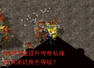 ��ο�����������˽����Ӣ���Խ�ɫ�ȼ���