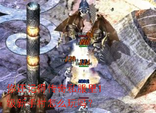 �㻹�ǵô���˽����1�����ִ���ô����