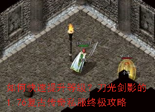 ��ο��������ȼ������⽣Ӱ��1.76���Ŵ���˽���ռ�����