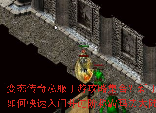 ��̬����˽�����ι��Լ��ϣ�������ο������Ų����׳ư��귨��½