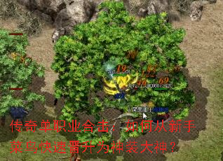 ���浥ְҵ�ϻ�����δ����ֲ�����ٽ���Ϊ��װ����