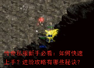 ����˽�����ֱؿ�����ο������֣����׹�������Щ�ؾ���