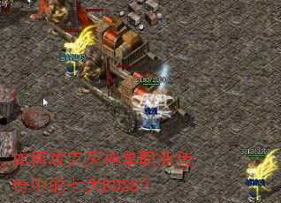 ��ι�������ְҵ�����е��ߴ�BOSS��