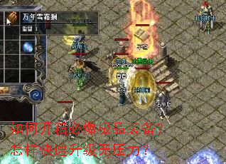 ��ο���ر���Ʒװ������������������ѹ����