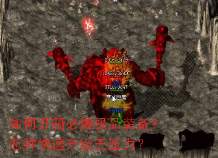 ��ο���ر���Ʒװ������������������ѹ����