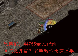 �ֵ��ǣ�44755ȫ��sf������ô���֣����ֽ����������