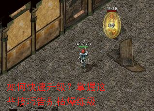 ��ο���������������Щ���ɸ���������