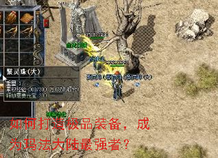 ��δ��켫Ʒװ������Ϊ�귨��½��ǿ�ߣ�