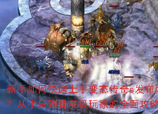 ������ο������ֱ�̬����s����������С�׵��ǻҼ���ҵ�ȫ�湥��