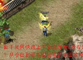 ������ο������ֱ�̬����s����������С�׵��ǻҼ���ҵ�ȫ�湥��