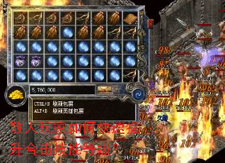 ɢ�������ο��������ϻ����ܵȼ���