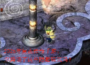 2026�긴�Ŵ������Σ����������Щ�����淨��