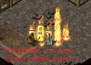 �������𱦵䣺4233������������ֱ�֪��Щ�ؼ����ɣ�