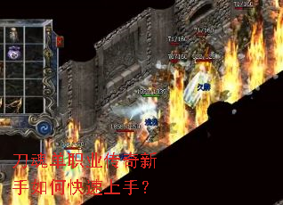 ���굥ְҵ����������ο������֣�