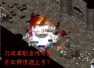 ���굥ְҵ����������ο������֣�